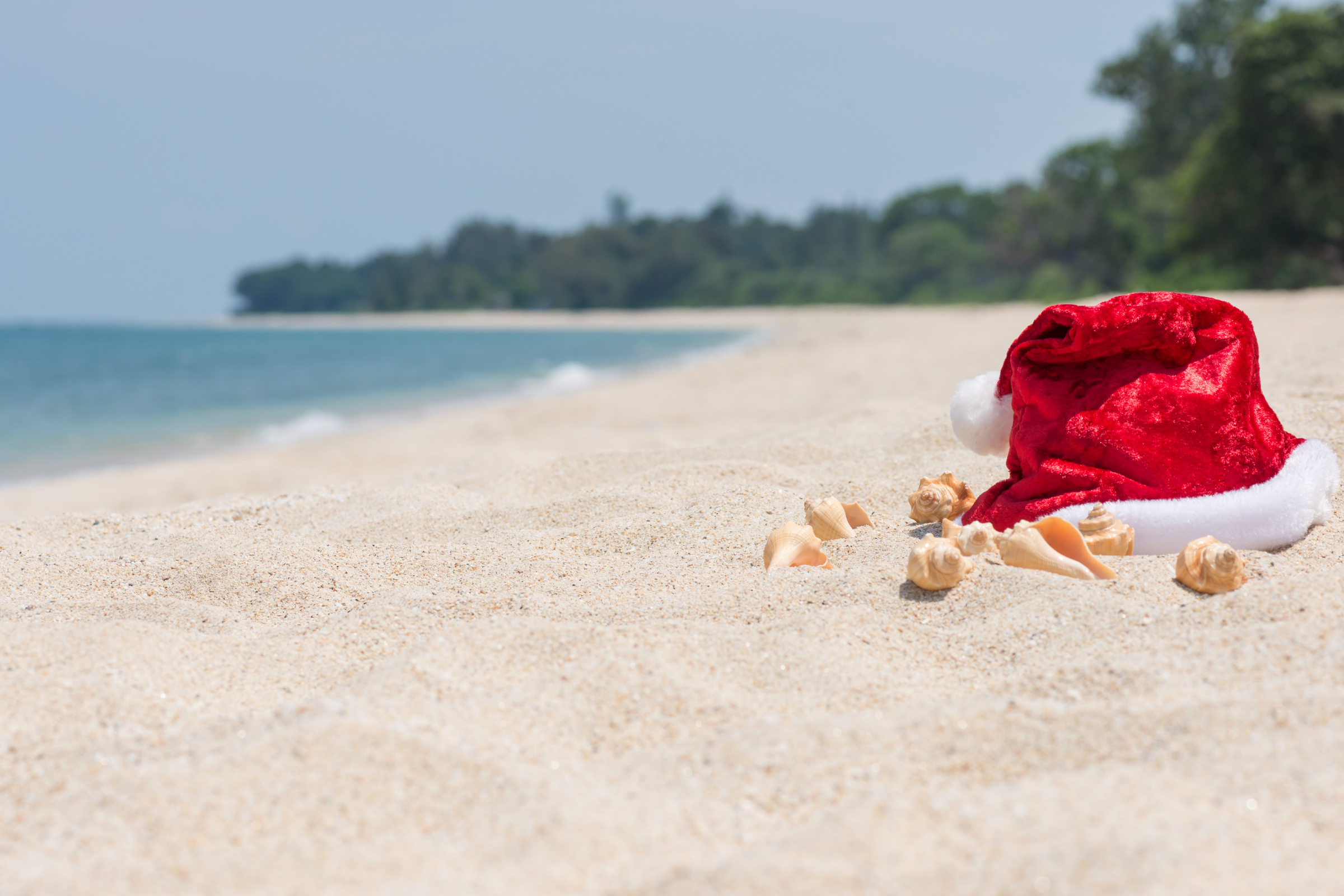 136 christmas island.webp
